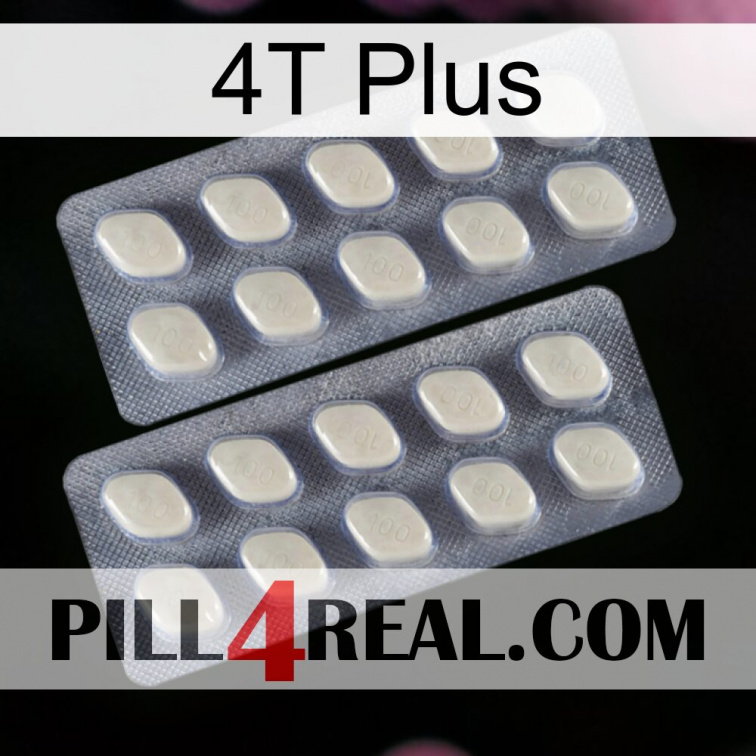 4T Plus 07